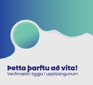 Read more about the article Þetta þarftu að vita! Verðmætin liggja í upplýsingunum